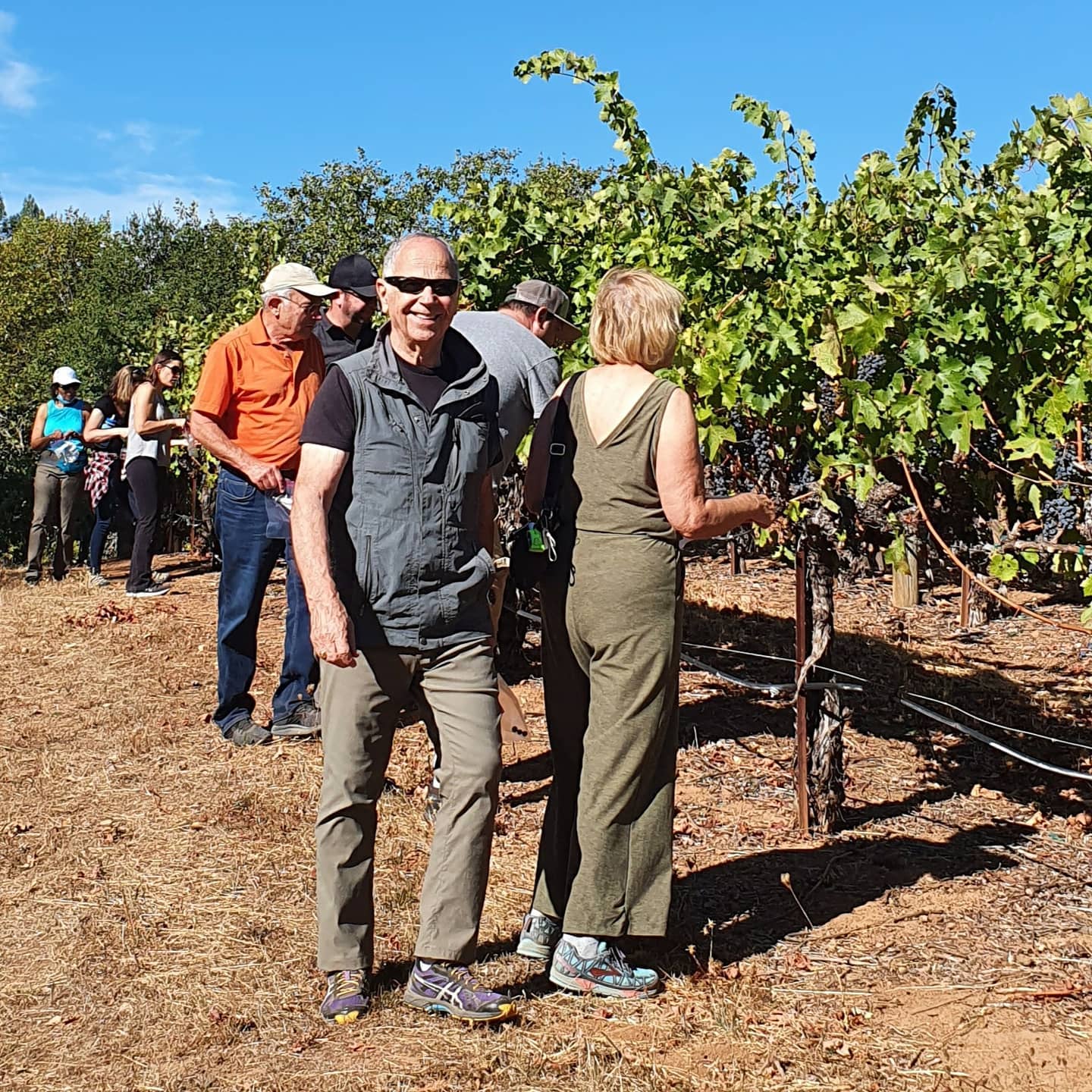 Vineyard Hike