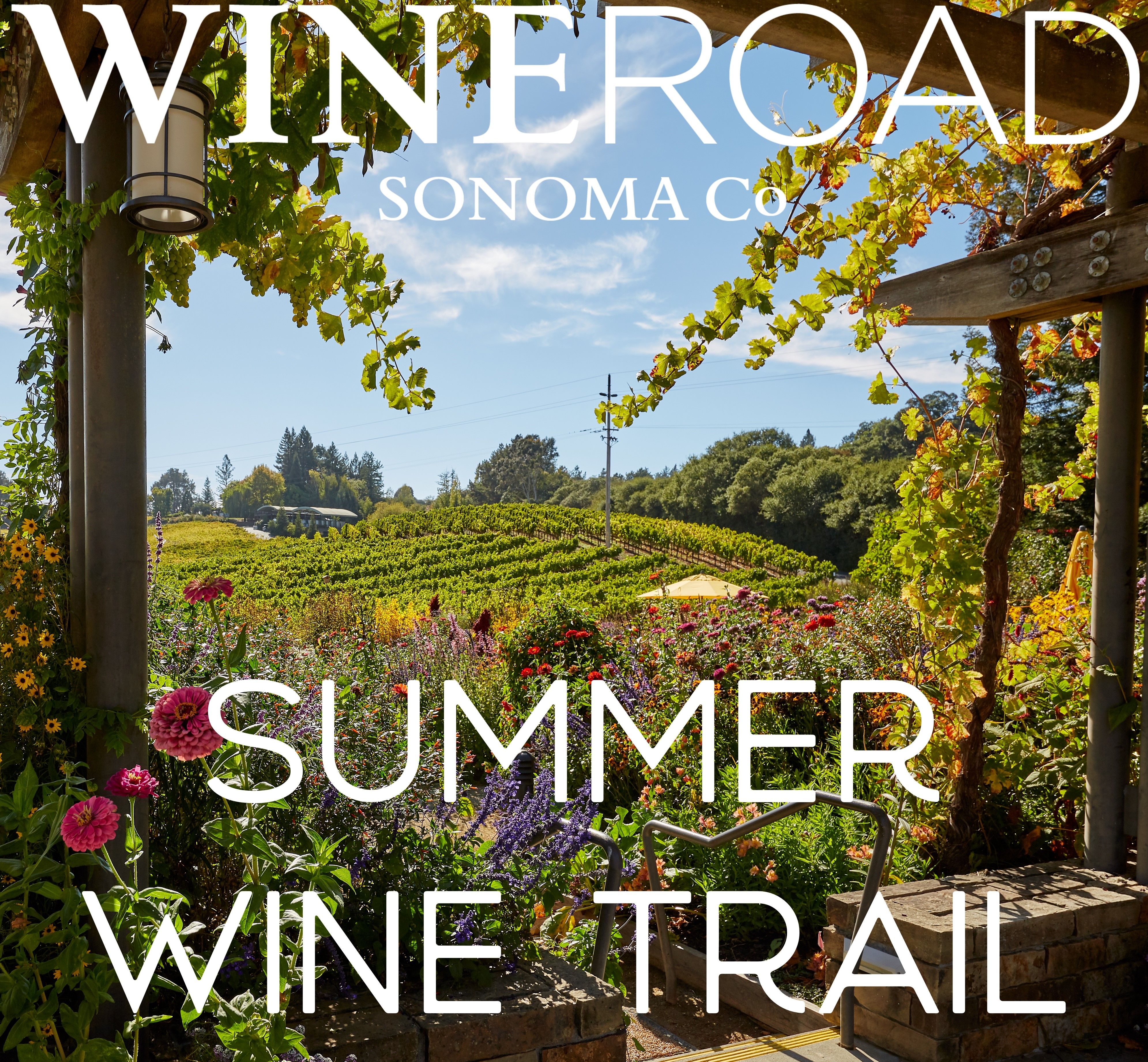 Summer Wine Trail
