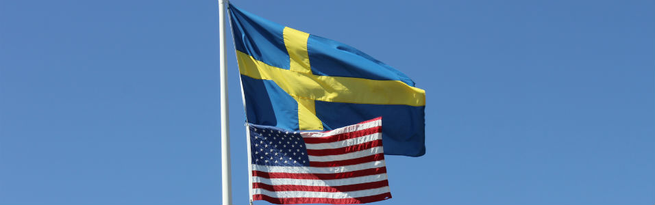 Swedish American Flag